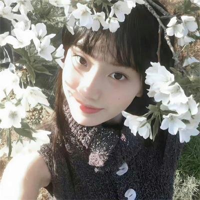 功夫小子